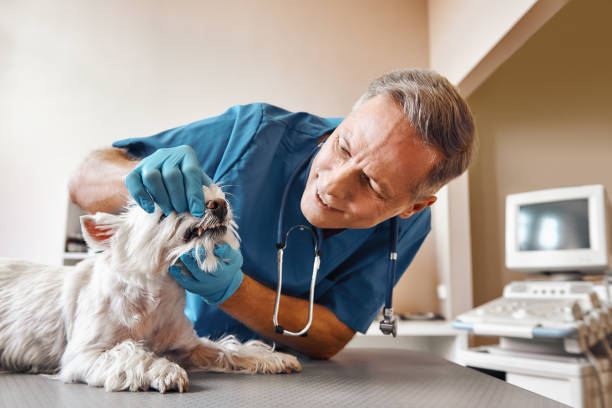 Best Emergency Tooth Extraction in Tuckerton, NJ